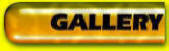 Gallery button