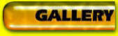Gallery page link