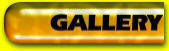 Gallery button